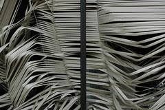windows blown out venetian blinds3web copy