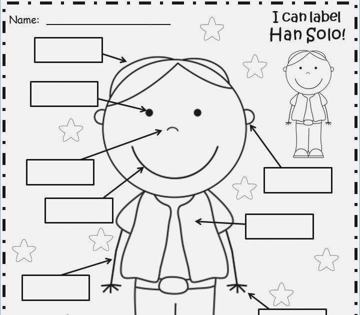 body-parts-worksheet-for-preschool-human-body-crafts-crafts-and