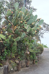 NZ 023