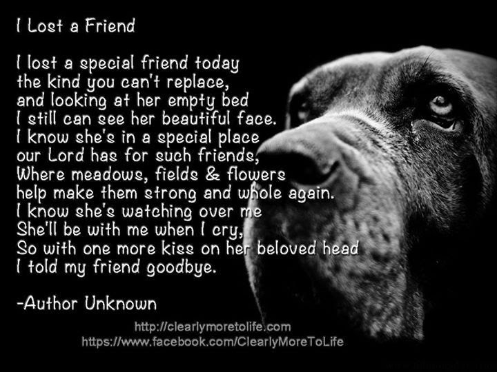 Dog Death Quotes. QuotesGram Dog Death Quotes. QuotesGram