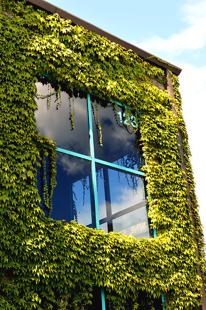 Ivy Covered Warehouse