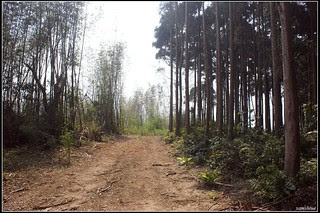 DSC04063