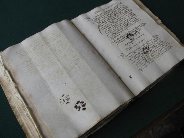 Cat paws in a fifteenth-century manuscript (photo taken at the Dubrovnik archives by @EmirOFilipovic)