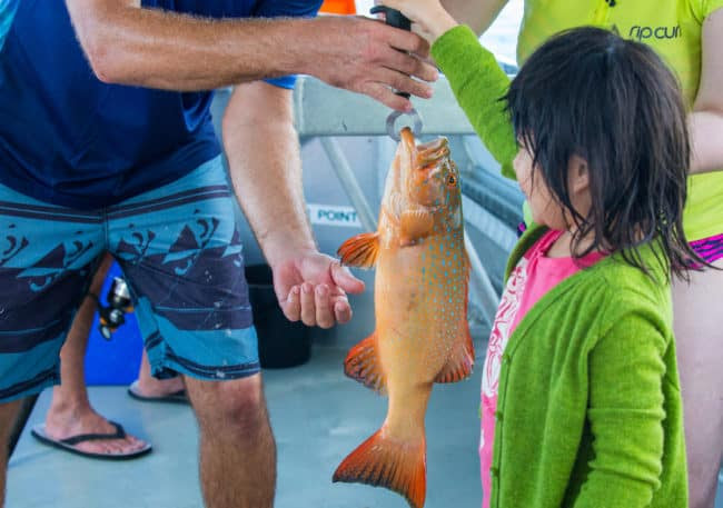 things to do in townsville