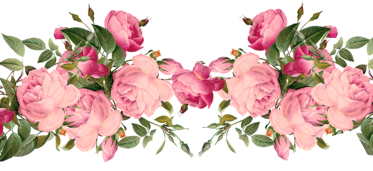 Pink Rose Flower Png Hd / Pink rose png rose flower png pink roses ...