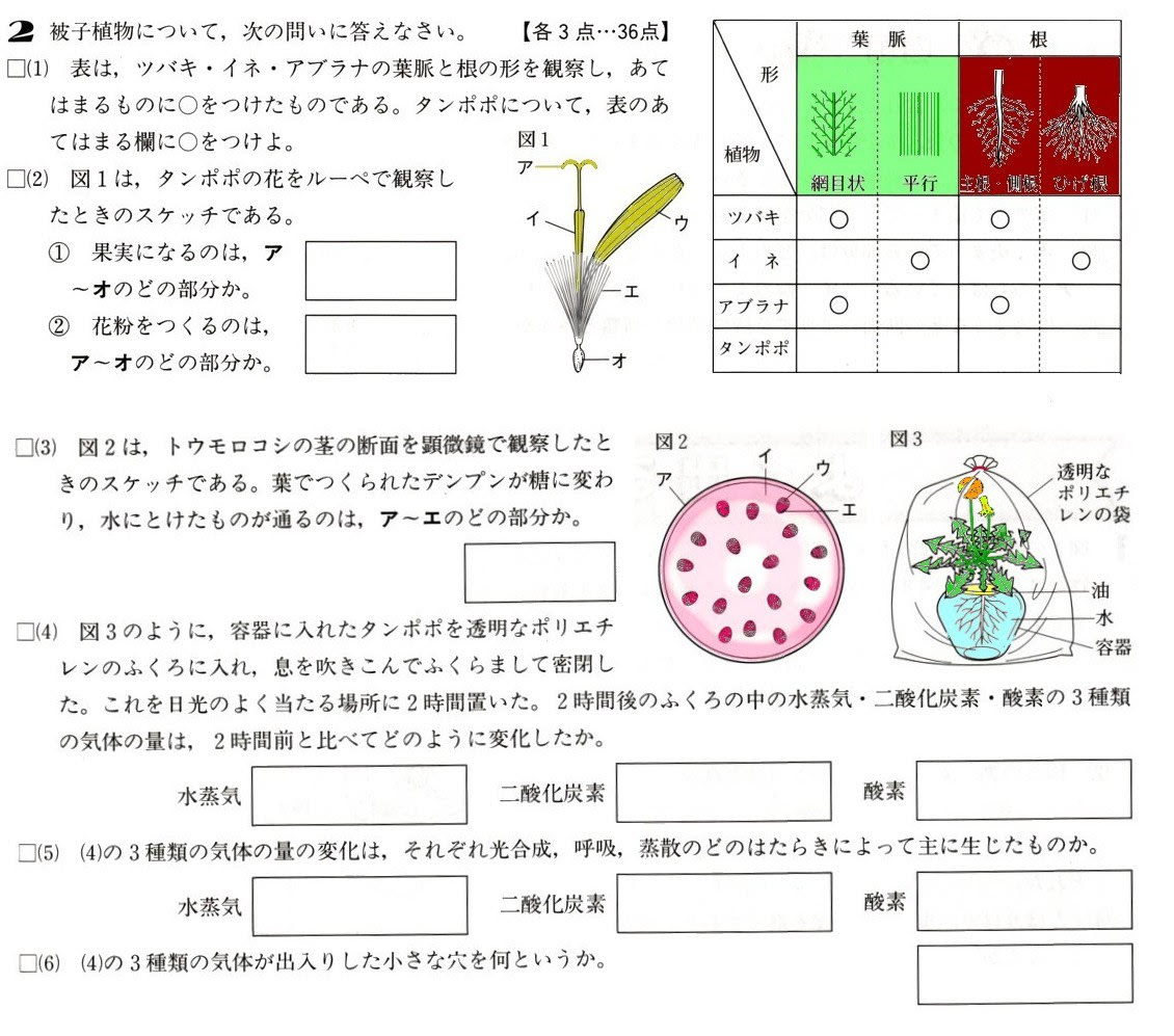 ひどい 中 2 実力 テスト 問題 新しい壁紙アニメ