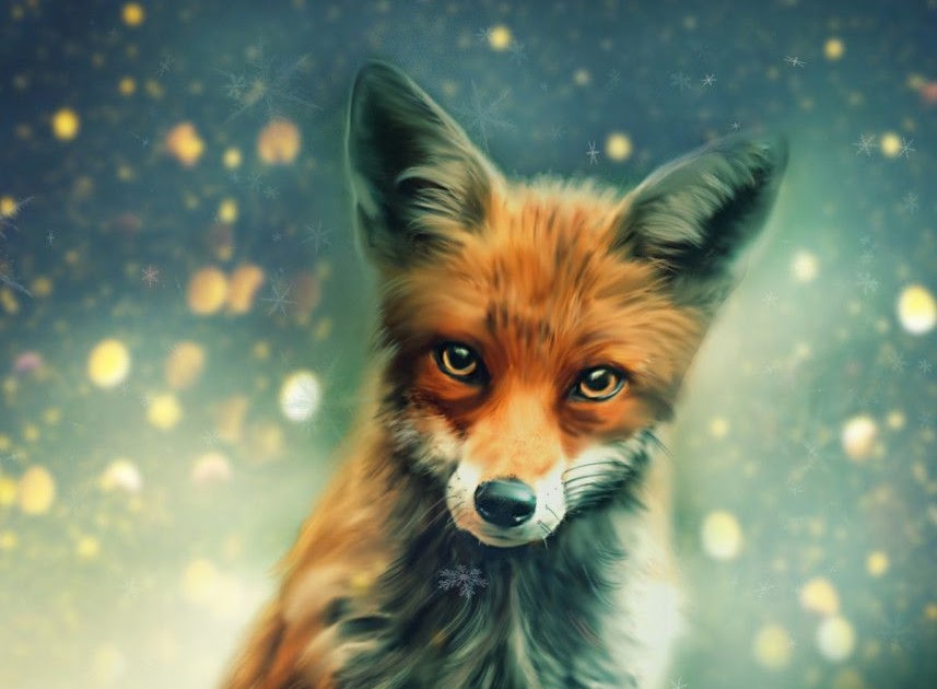 Cute Galaxy Wallpaper Fox - Desktop cute images of foxes download