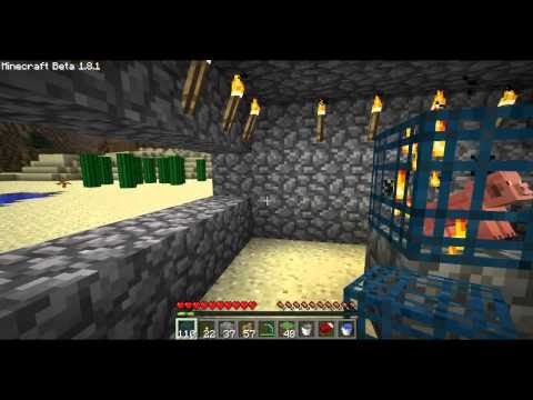 Minecraft Come Addomesticare Un Enderman Harbolnas H