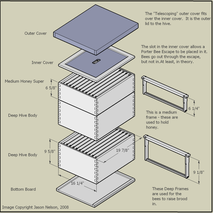 custom-beginner-guide-to-get-easy-build-bee-hive-plans