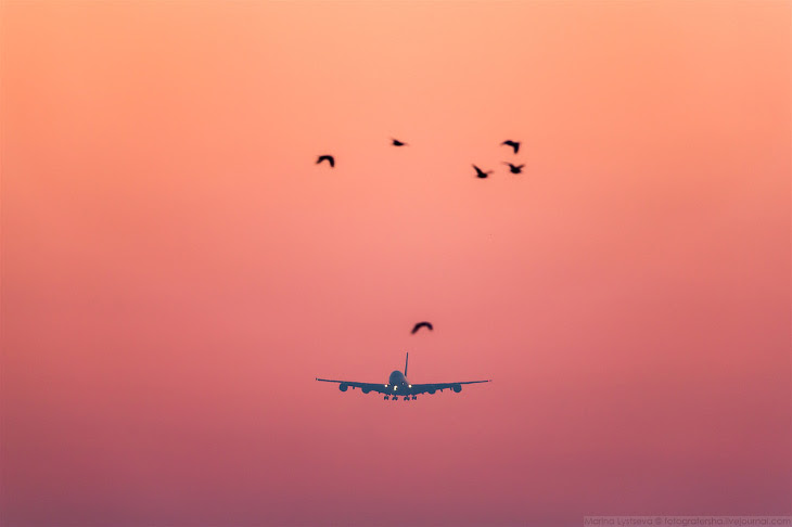 А380 — крупнейший пассажирский самолет А380 — крупнейший пассажирский самолет