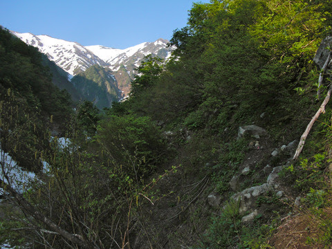 CIMG5966