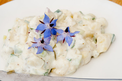 Taani kartulisalat / Danish potato salad