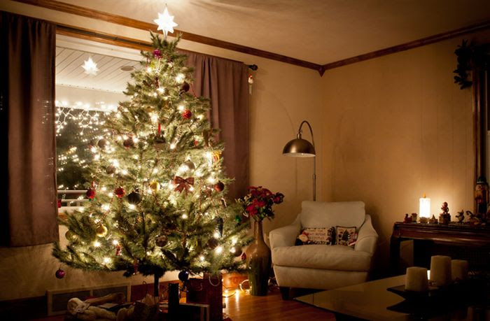 Beautiful Christmas (71 pics) Beautiful Christmas (71 pics)