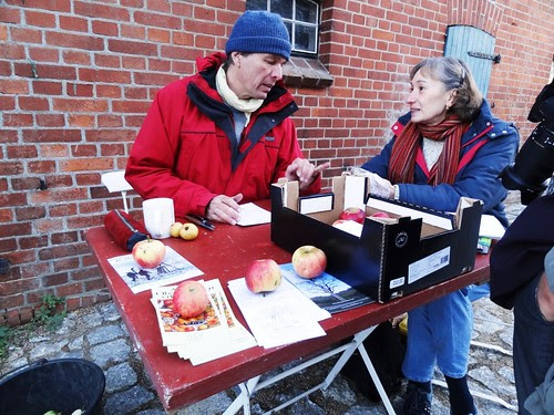Jan Bade bei der Obstbestimmung in Konau
