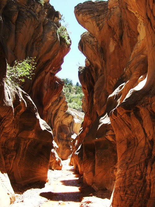 4/5/ · While being the shortest of the hikes through Utah slot canyons on this list, Yankee Doodle Hollow packs a big punch with Navajo sandstone, deep and vibrant colors, and photogenic vistas.This slot is popular with beginner canyoneers and guided groups for its single and easy drop into the canyon—so don’t expect a whole lot of solitude.