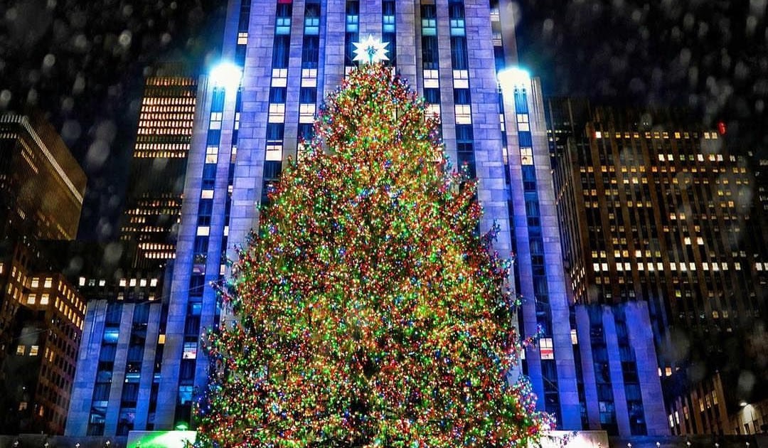 Christmas Tree Shop Johnson City New York  CHRISMASIH