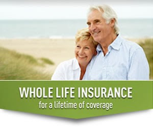 Whole Term Life Insurance Rate - Best Insurance Companies
