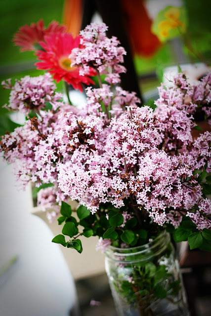 lilacs copy