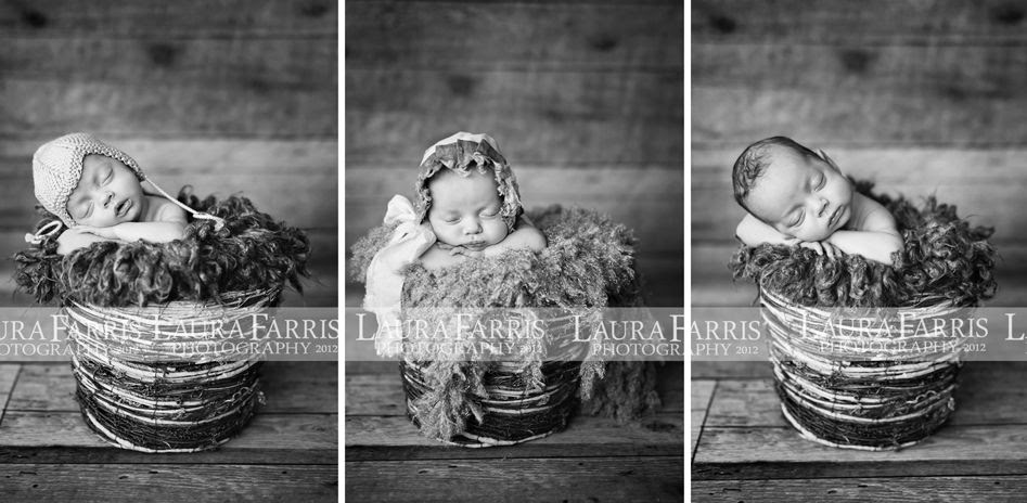 baby portraits boise idaho