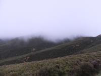 Free Image Hosting at www.ImageShack.us