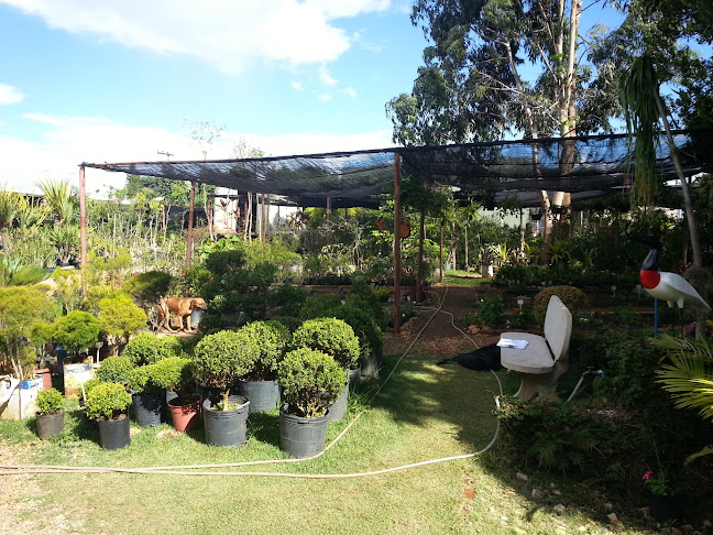 Avaliações sobre Primavera Garden Center em Belo Horizonte - Floricultura