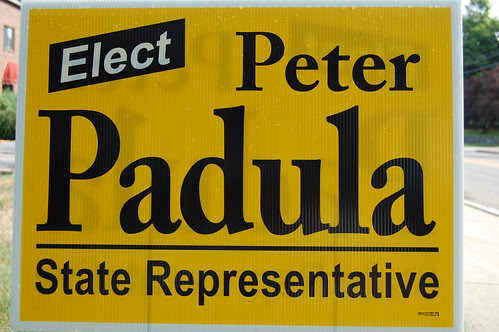 10th Norfolk Campaign Signs