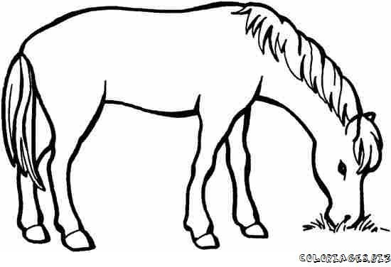 Image de Dessin Facile Dessin Animaux Herbivores Domestiques