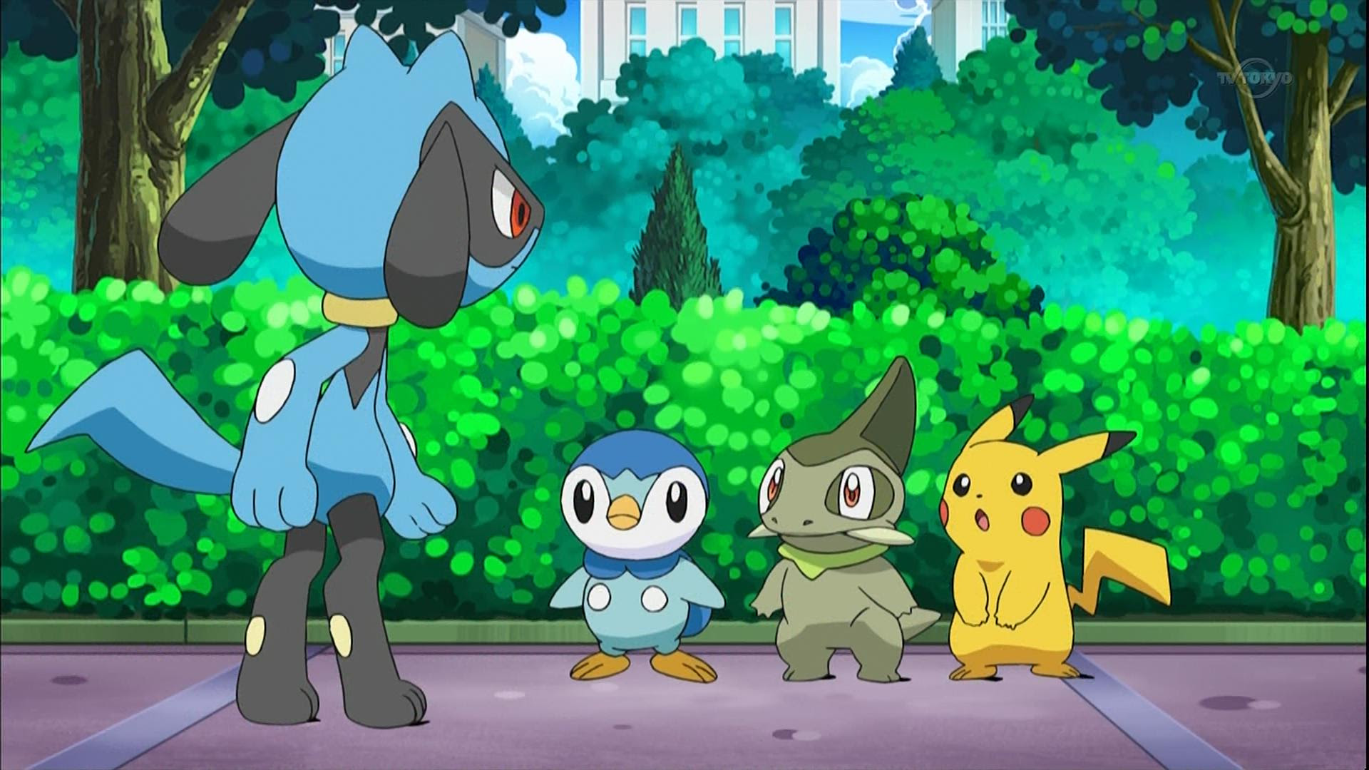 ポケモン Bw2 リオル
