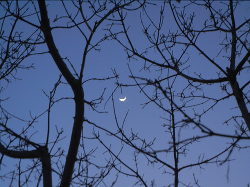 DSCN5982 _ New Moon