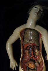 Flickr: not looking well