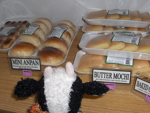 Musing over Mochi