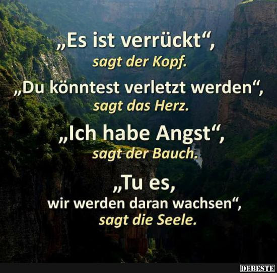 Sprüche Leben Genießen Lustig Kurz Aber Wahr Kostenlos / leben lustig sprüche lustig kurz aber