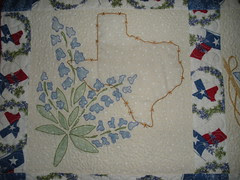 Detail from My First Texas Quilt