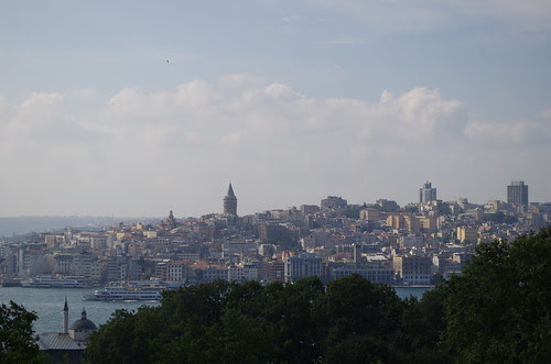 IMGP1975