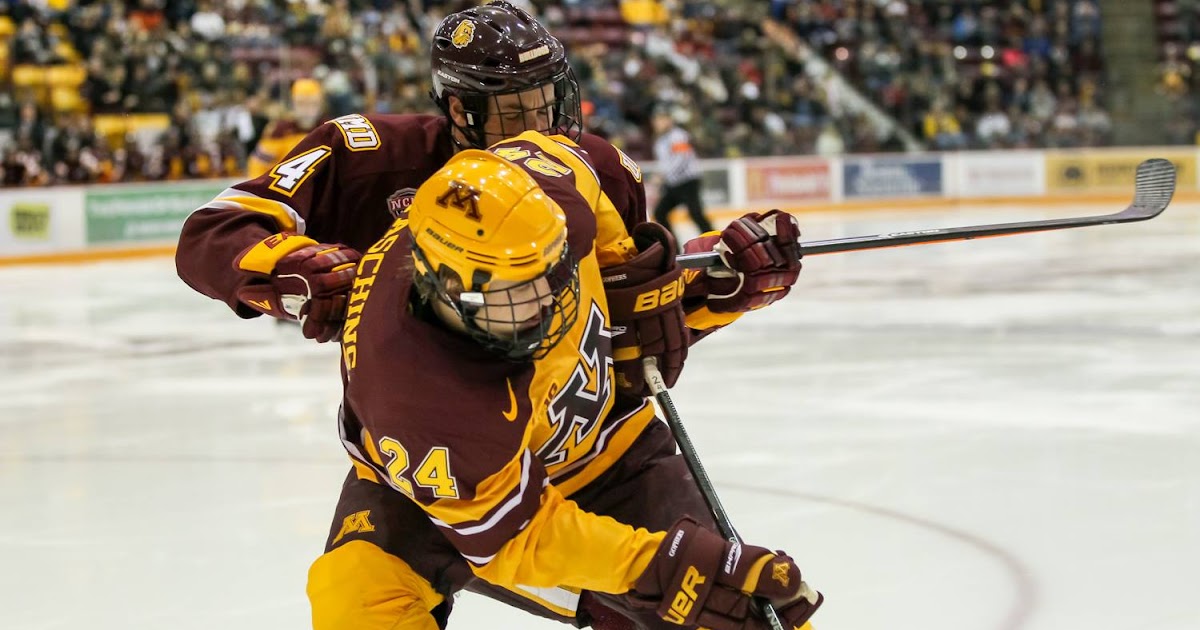 Minnesota Hockey All Hair Team erinalmasite