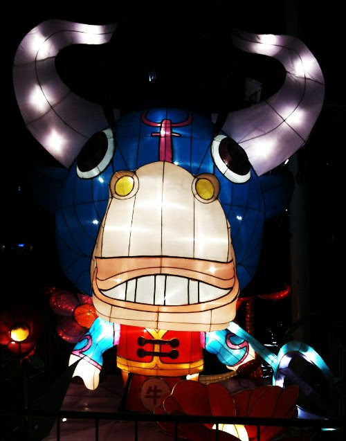 ox