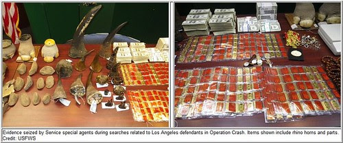 operation crash photos