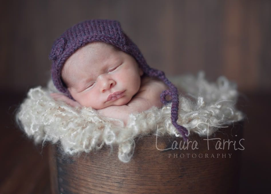 boise newborn photographer