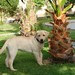 Mollie in Bahrain