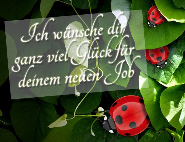 Top 100+ Viel Glück Im Neuen Job Lustig gute zitate
