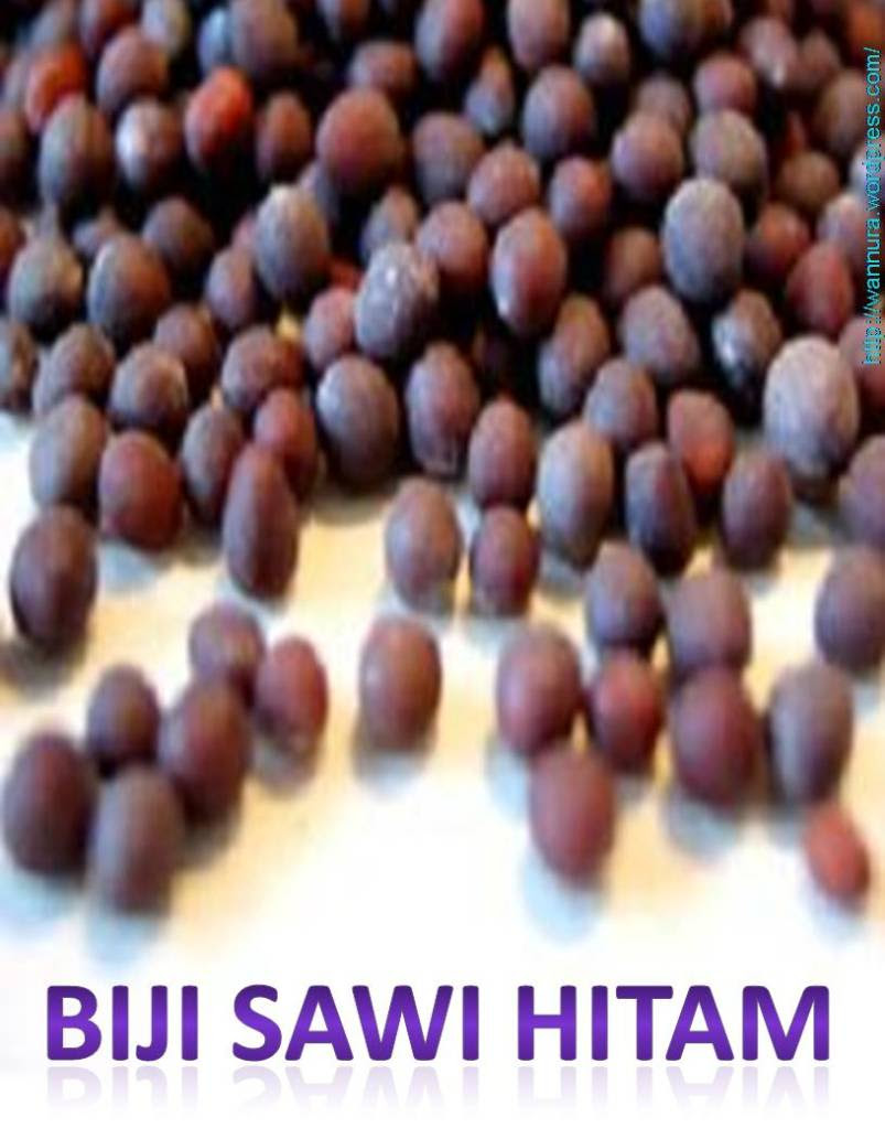 biji Sawi Hitam