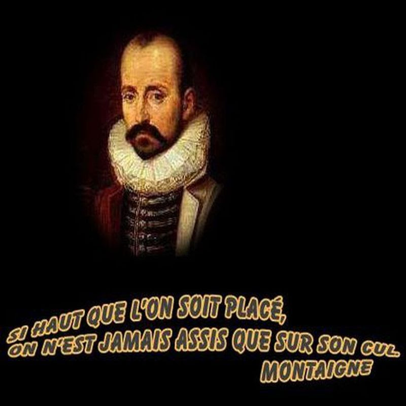 Gratuit [532] Citation Michel De Montaigne Memedolci