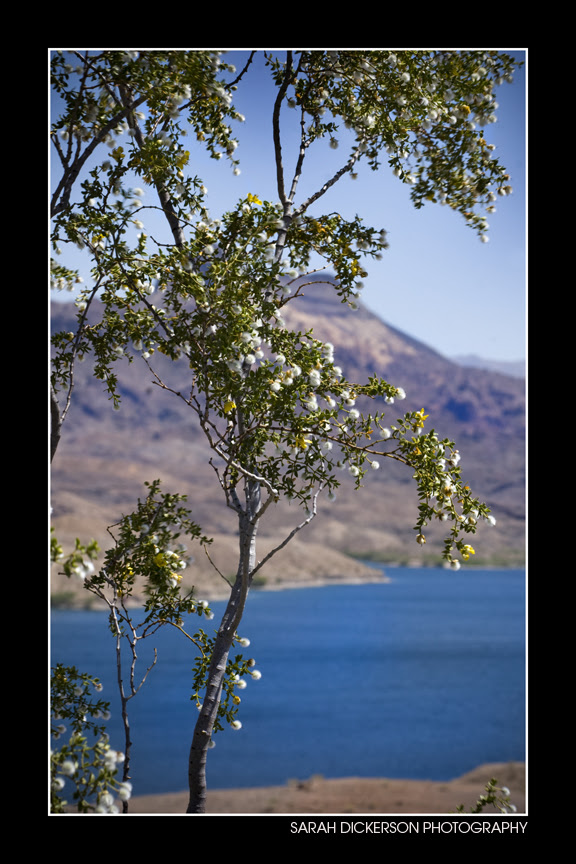 IMG_4327