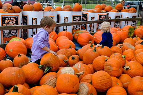 punkin-13