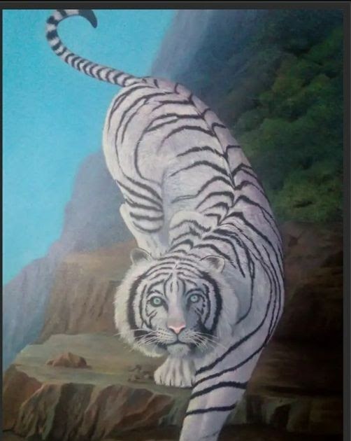 Wallpaper Macan Putih 3d Image Num 21