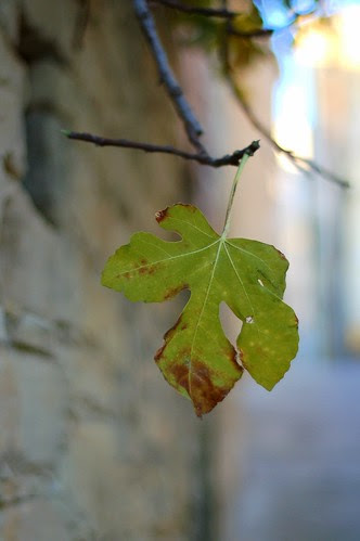 on a side alley