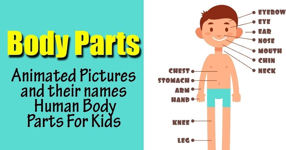 Body Parts Tamil And English / Body Parts Name In Tamil And English