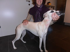 PA200679