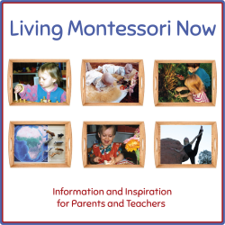 Living Montessori Now Button