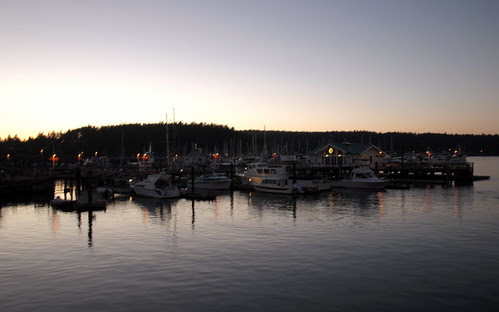 Marina at dusk